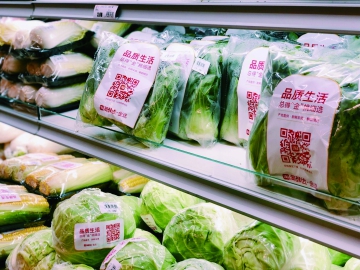 如何讓包裝“綠”起來？